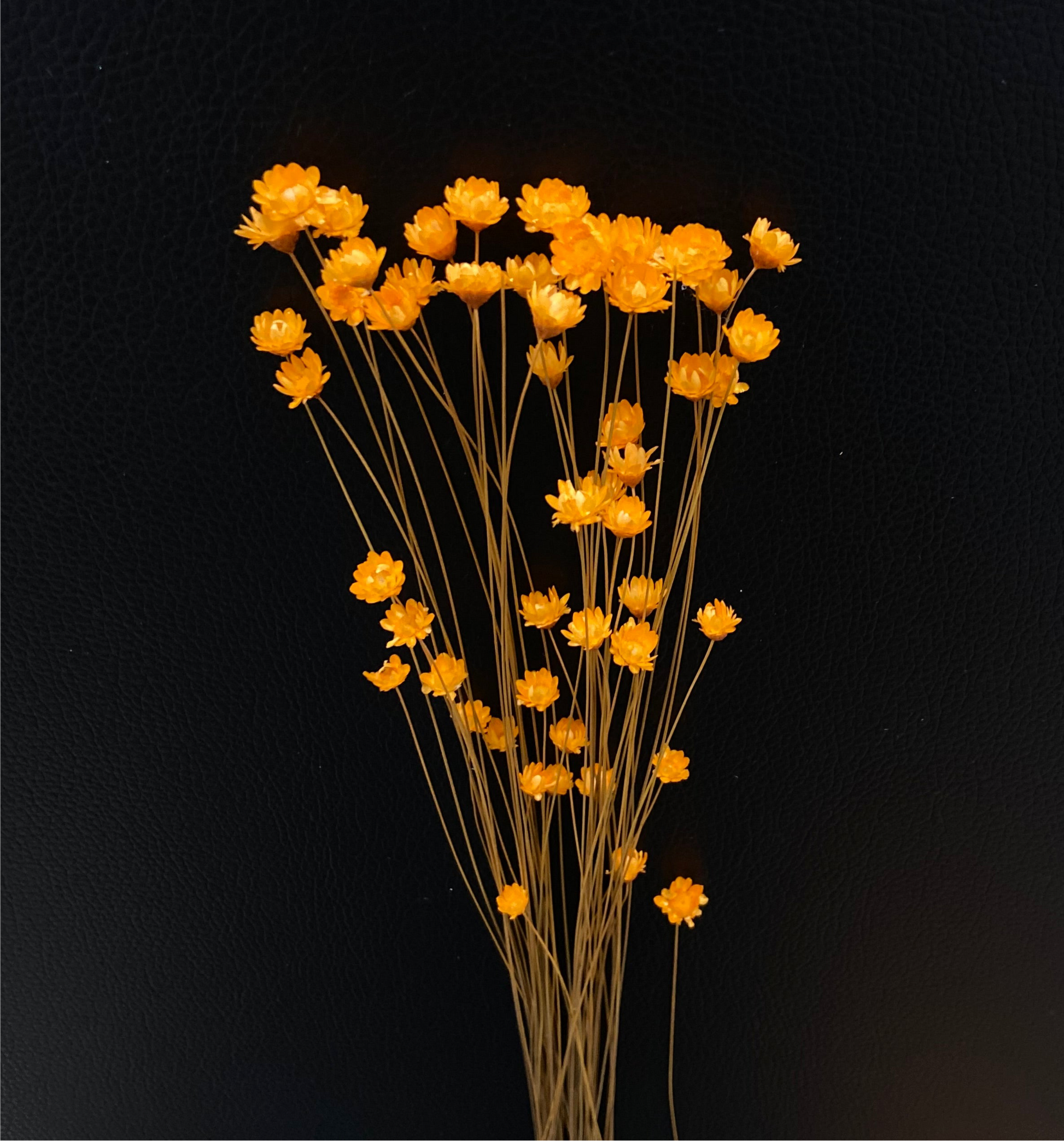 Torkade småblommor TORRDECOR