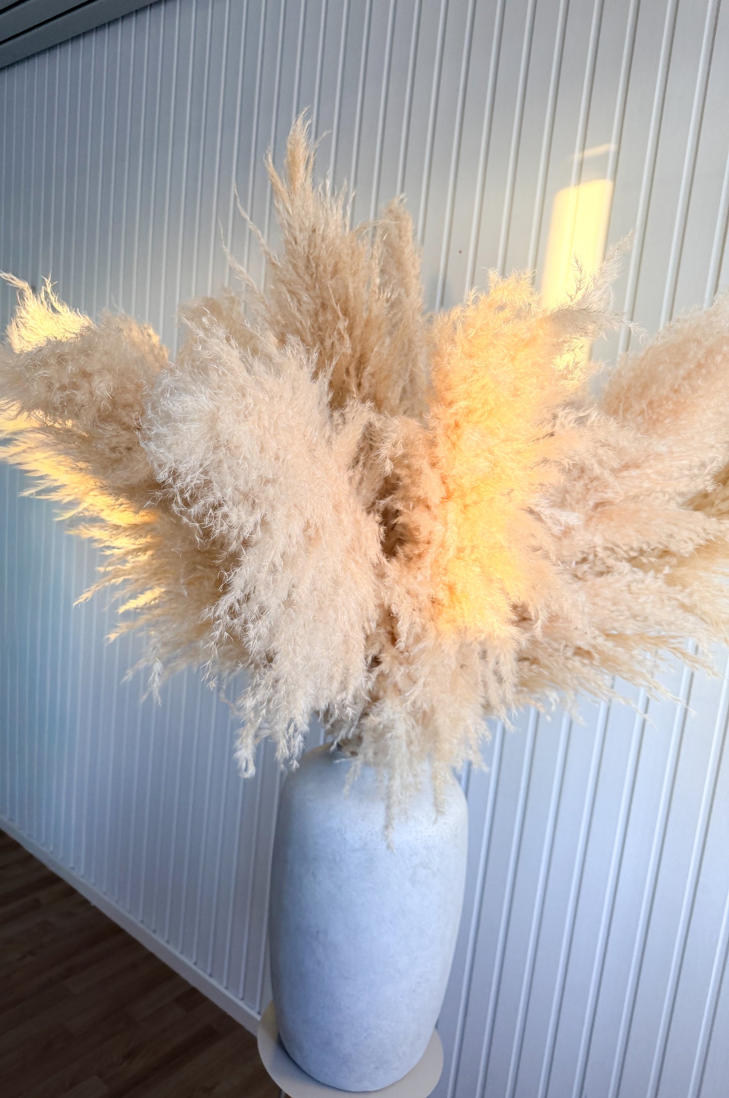 Fluffigt torkat pampasgräs i vit vas mot ljus panelvägg, stilren skandinavisk inredning med torkade blommor från Torrdecor
