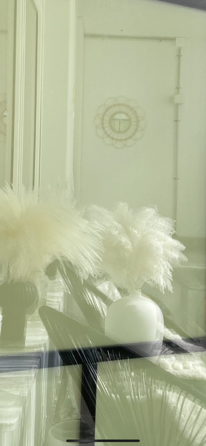 Fluffiga vita pampas, reflektion