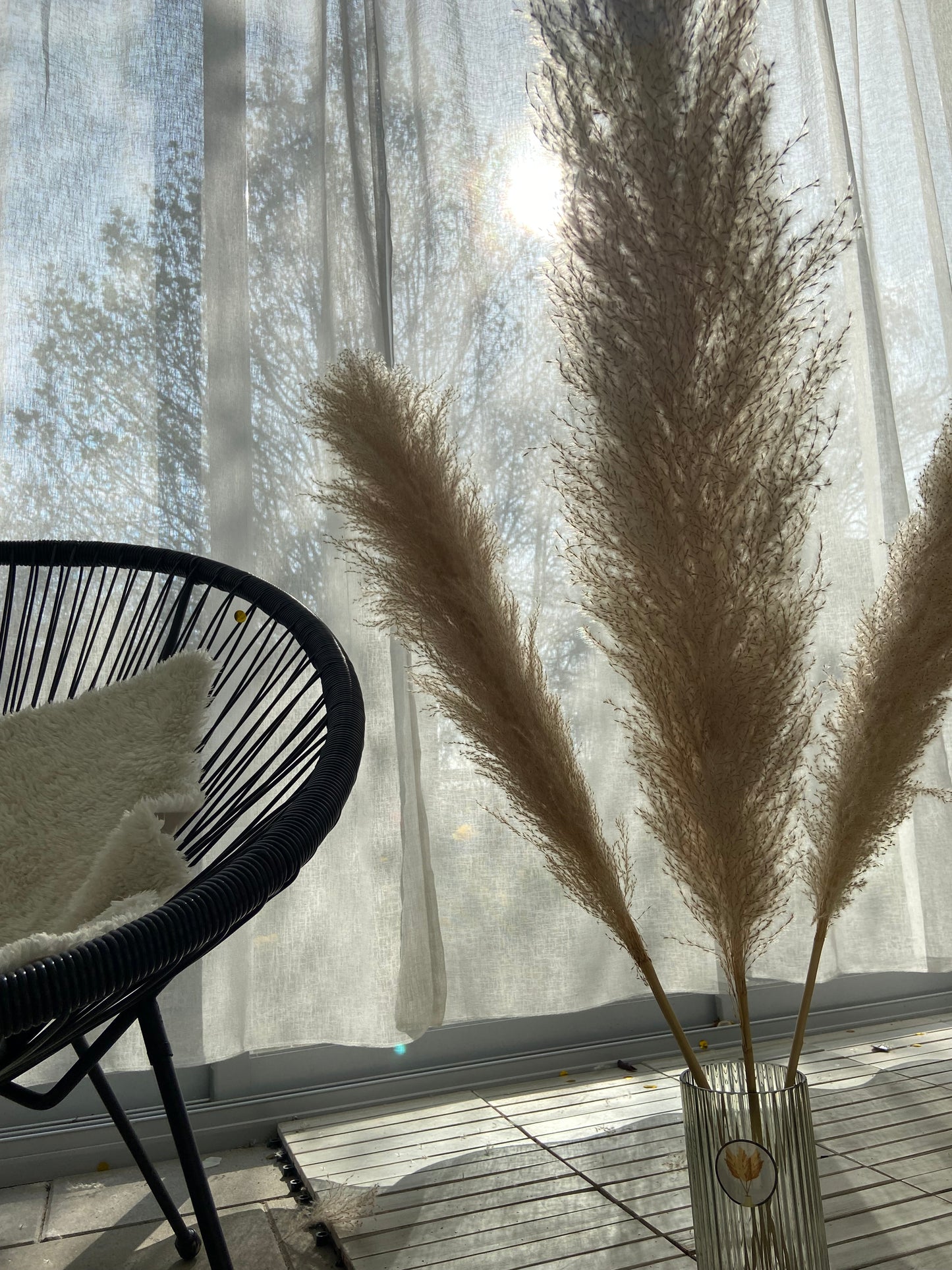 Pampas PINK 110cm