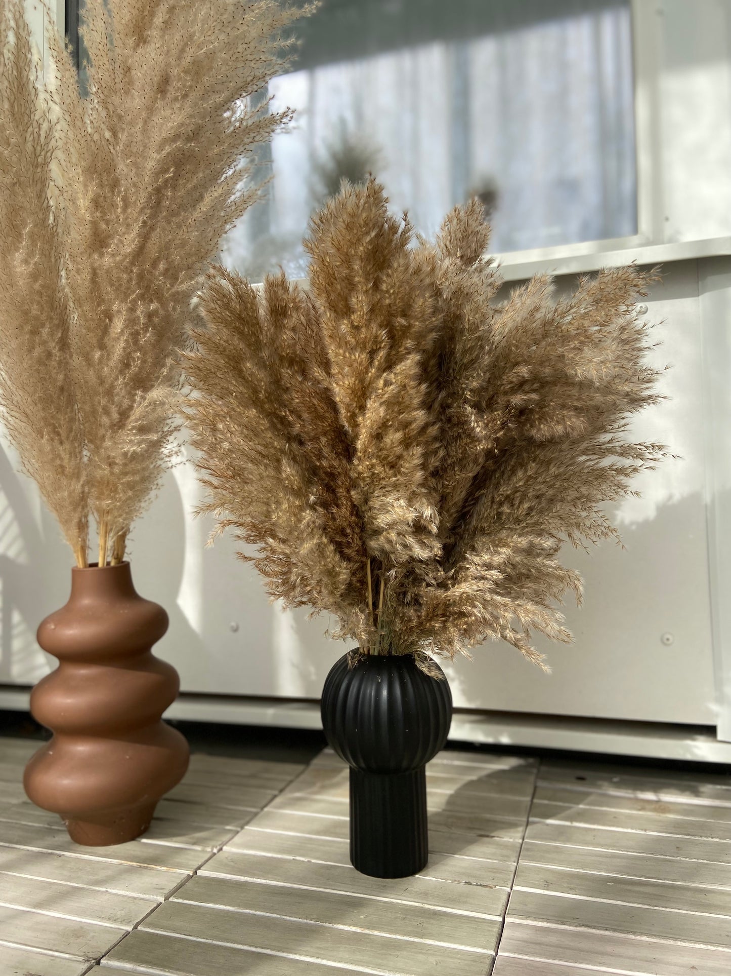Pampas 60cm (25-pack)
