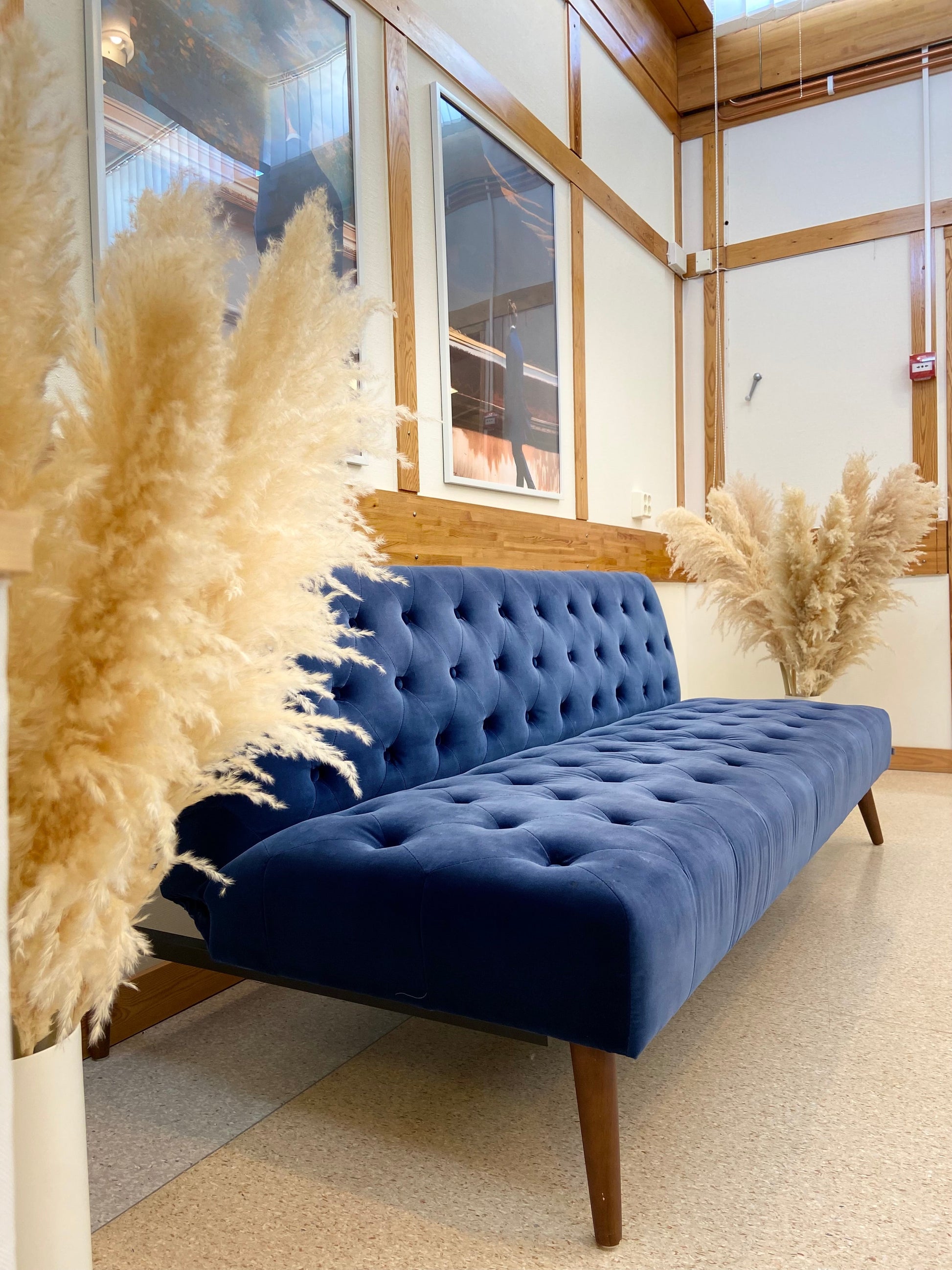 Pampas 110cm TORRDECOR