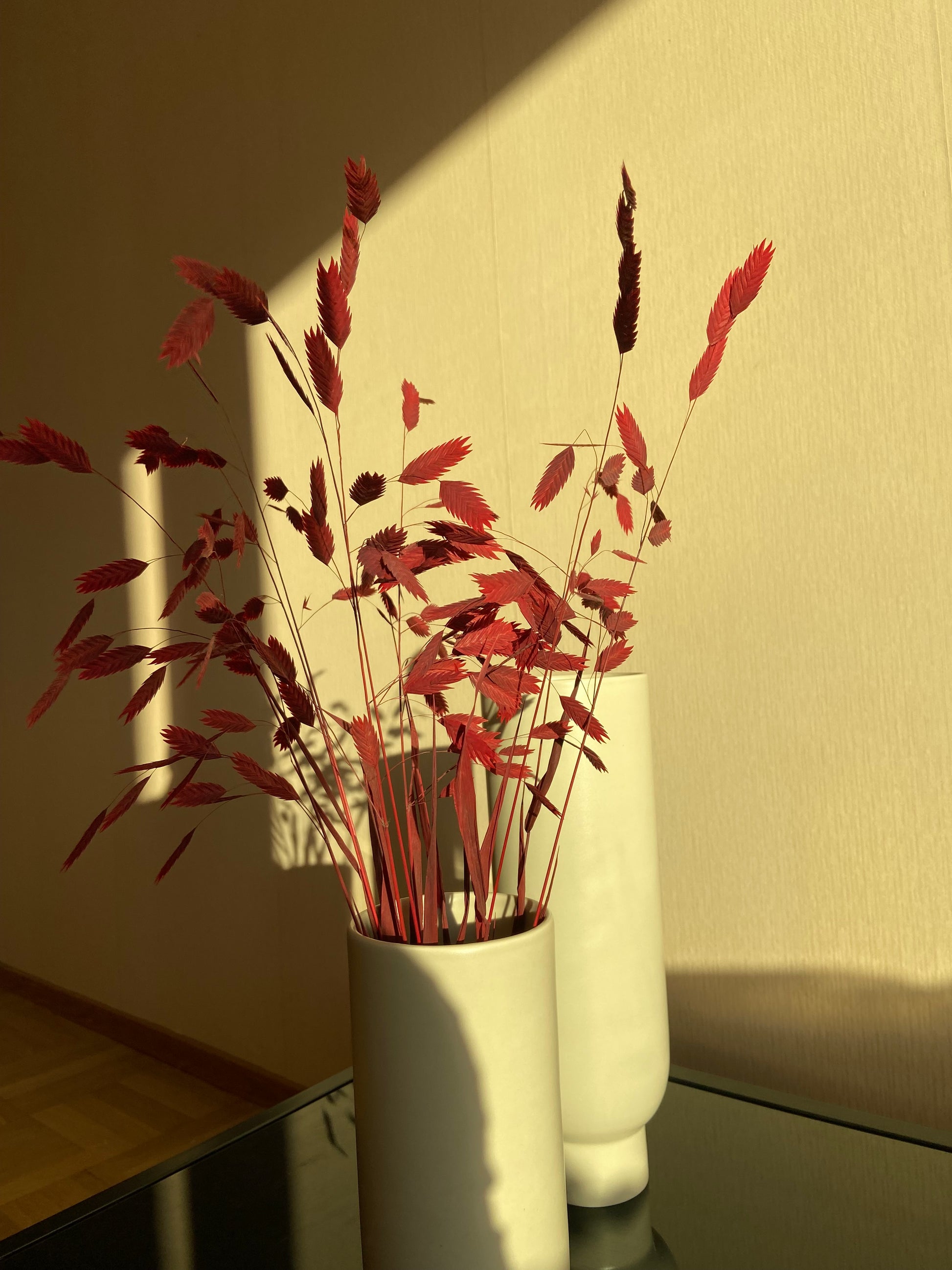 Torkad Chasmanthium – VELVET TORRDECOR