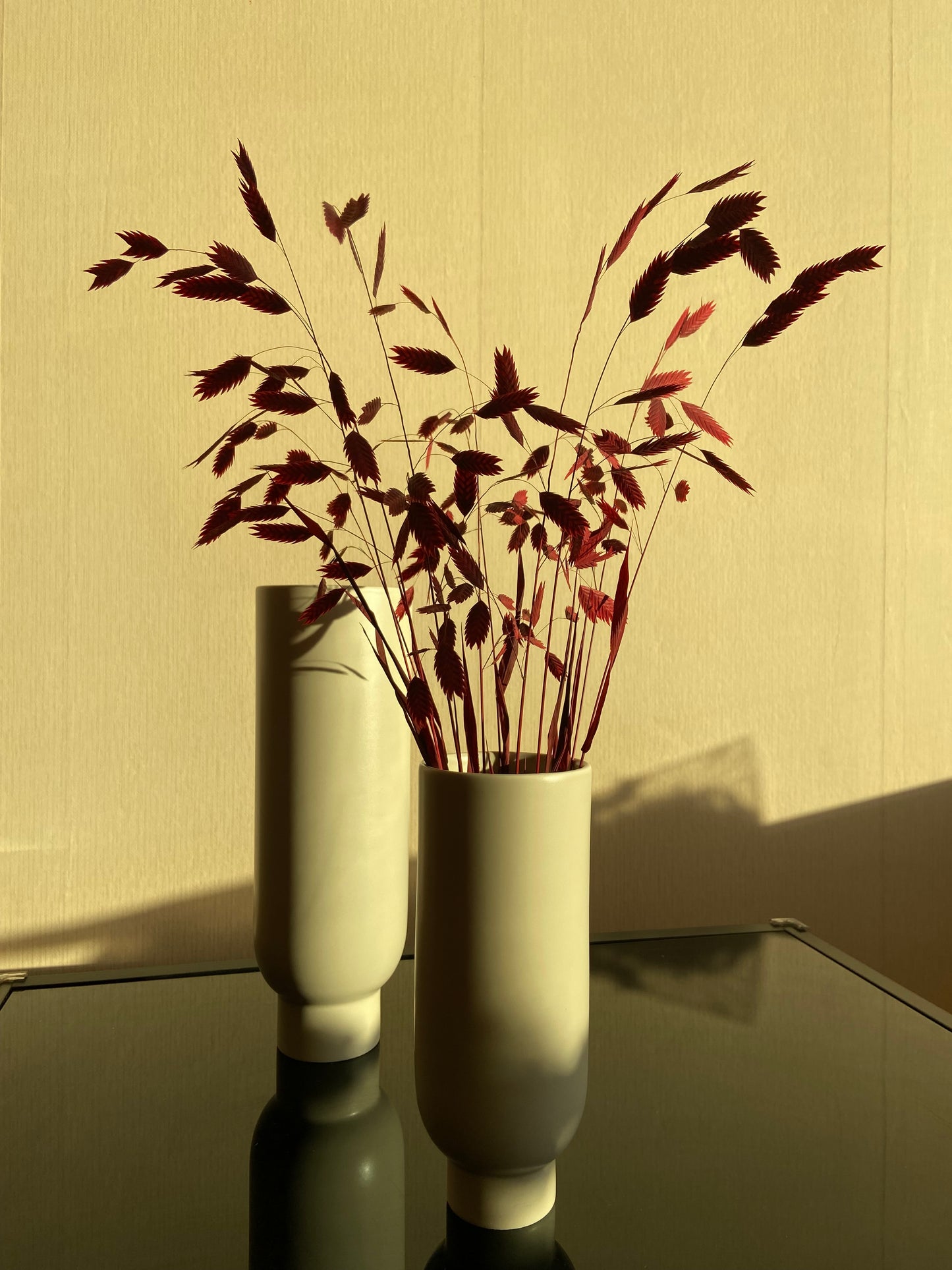 Torkad Chasmanthium – VELVET TORRDECOR