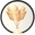 Pampasgräs och Torkade Blommor Online för Inredning logo