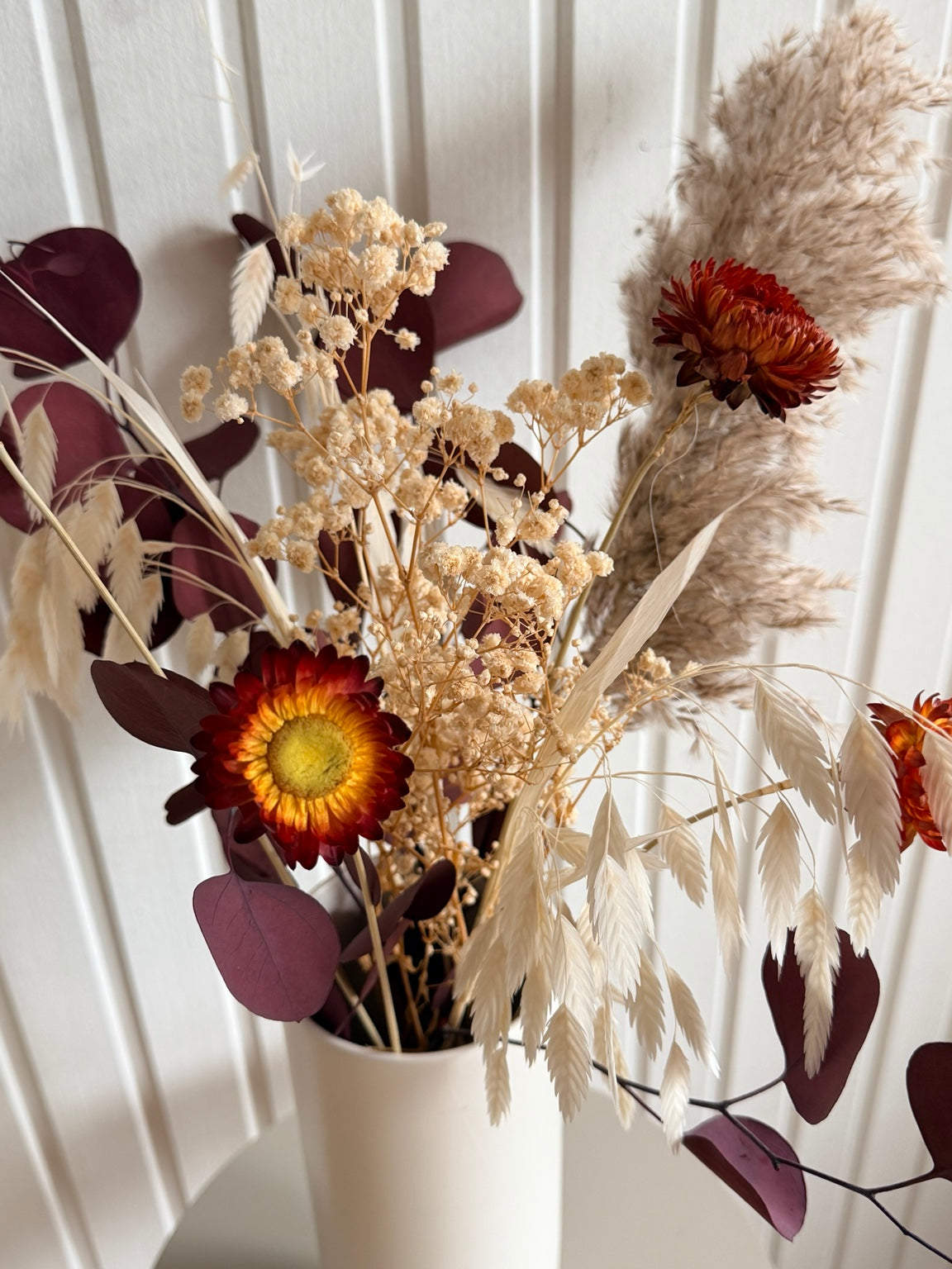 Närbild av Mixbunt ’SKYMNING’ med vinröda blad, ljusa ax och orange blommor